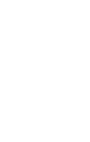 ذو الفقار المغربي